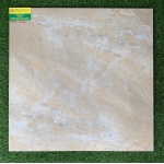 Đá bóng kiếng 60x60 CATALAN 6969