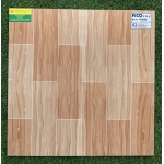 Gạch bóng kiếng 60x60 Fico PH605