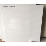 Gạch khổ lớn trắng trơn 100x100