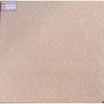 ĐÁ BÓNG KIẾNG 60X60 TRUNG QUỐC 6819