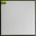 GẠCH ĐÁ MỜ 60X60 BẠCH MÃ  M6000