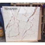 ĐÁ BÓNG KIẾNG 100X100 TRUNG QUỐC TD107011