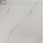 Gạch Bóng Kiếng 60x60 Tasa 653