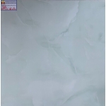 ĐÁ BÓNG KIẾNG 60X60 Á MỸ 6603