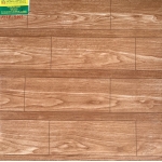 Gạch Men Bóng 50X50 Pak 5065