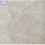 ĐÁ BÓNG KIẾNG 60X60 Ý MỸ 66025