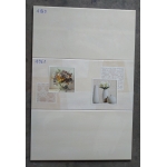 Gạch ốp tường 40x80 Tasa Satino (3)