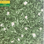 Gạch Lát Sân Vườn 40X40 Mikado 403