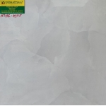 Gạch Lát Nền 40X40 Pak 4905