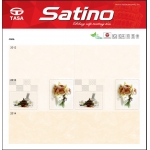 Gạch Ốp Men Bóng 30X60 Tasa Satino (4)