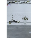 Gạch Ốp Tường 30X60 CMC 9224