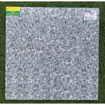 Gạch bóng kiếng 60x60 Fico PH602