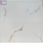 ĐÁ BÓNG KIẾNG 60X60 RRIME 12028