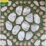 Gạch Sân Vườn 50x50 DIC 51