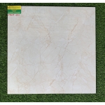 Gạch Bóng Kiếng 60x60 Toco 6801