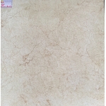 ĐÁ BÓNG KIẾNG 80X80 VIGLACERA Mã 821