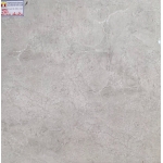 Gạch Bóng Kiếng 60x60 Tasa 6905