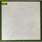 Gạch Bóng Kính 60X60 TASA 6717