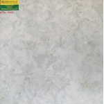 Gạch Lát Nền 50X50 Trung Nguyên 5022