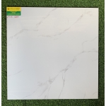 Gạch Bóng Kiếng 60x60 Hoàng Hà 6603