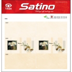 Gạch Ốp Men Bóng 30X60 Tasa Satino (6)