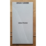 60x120 hàng nhập khẩu màu xám xanh cao cấp