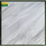 60X60 GẠCH LÁT NỀN NHÀ BAO ĐẸP MÀU SẮC QUÁ CHUẨN 6019