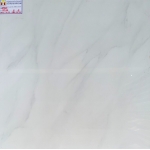 ĐÁ BÓNG KIẾNG 60X60 RRIME 7041