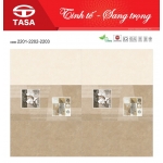 Gạch Ốp Men Bóng 30X60 Tasa Satino (7)