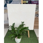 Gạch bóng kiếng 80x80 mẫu mới nhất