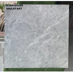 Top 50+ Mẫu gạch 60x60 bóng kiếng giá rẻ tại Sóc Trăng mã 647