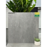 Gạch lát nền 60x60 màu xám APODIO hàng matt 