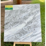 Nơi bán gạch 100x100 uy tín nhất Sài Gòn hàng VN giá khuyễn mãi tại Đồng Tháp