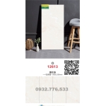 Gạch 60x120 đá bóng kiếng nhập khẩu TQ12613