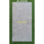 Gạch 60x120 đá mờ vân chấm bi