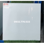 Gạch 60x60 màu trắng tinh hàng Vn tại Cần Thơ