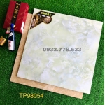 Gạch 80x80 họa tiết sắc xảo mã TP98054