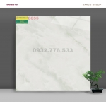 Gạch 80x80 màu sắc đẹp mã 8053