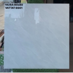 Gạch lát nền 80x80 giá ưu đãi tại Tiền Giang