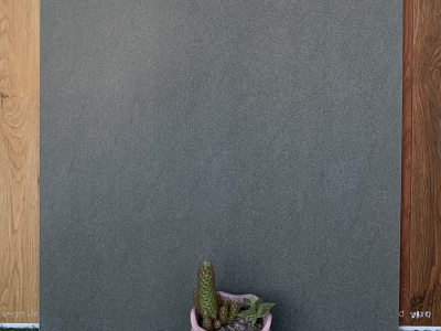 GẠCH ỐP LÁT VÀ LÁT NỀN RẺ NHẤT