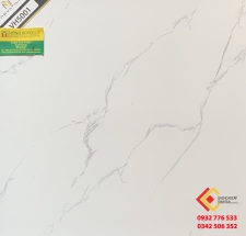 Gạch Men Bóng 50X50 Pak VH5001