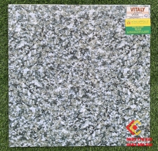 Gạch Sân Vườn 50x50 Giá rẻ V5501