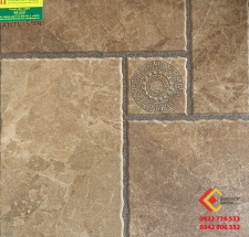 Gạch Sân Vườn 50x50 Catalan 5504