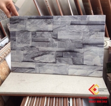 GẠCH TRANG TRÍ 25x40 (4)