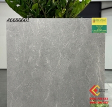 Gạch lát nền 60x60 màu xám APODIO hàng matt