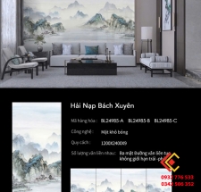 GẠCH ĐÁ BORIDE KHỔ LỚN 90X180 TQ HẢI NẠP BÁCH XUYÊN