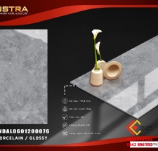 Gạch ốp nhà ở hàng Ấn Độ 60x120 Glossy Gray sang trọng tại quận 11