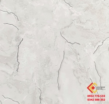 Gạch 60x120 lát nền hàng nhập khẩu