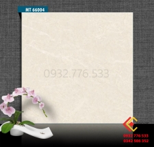 Gạch 60x60 granite đồng chất