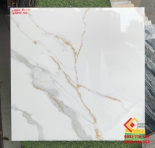 Gạch 60x60 lát nền giá rẻ HCM,Bình Chánh,Hóc Môn